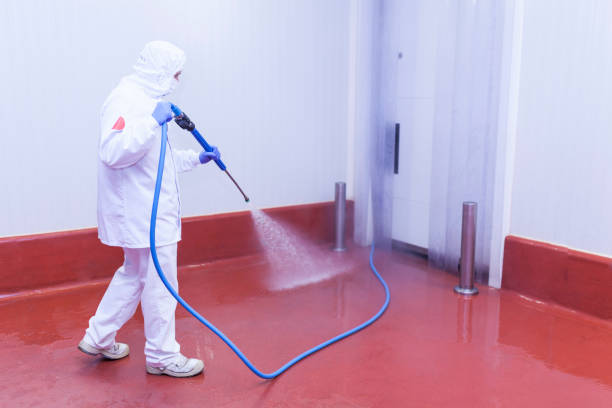 Best Spring Cleaning  in Point, TX